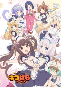 Кошачий рай (2020)