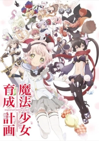 Проект по обучению волшебниц (2016)