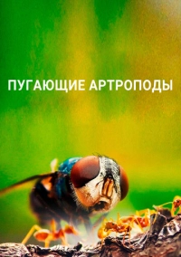 Пугающие артроподы (2020)