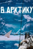 В Арктику (2023)