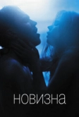 Новизна (2017)