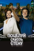 Поцелуй сквозь стену (2010)