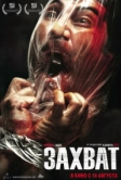 Захват (2010)