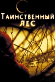 Таинственный лес (2004)