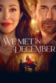 Мы встретились в декабре (2025)