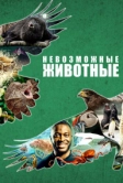 Невозможные животные (2021)